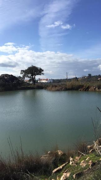 Farm stay Herdade Da Maridona - Estremoz